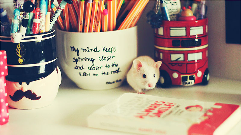 2024年成人本科什么时候报名?大概在几月份开始? 2024年成人本科什么时候报名?大概在几月份开始?